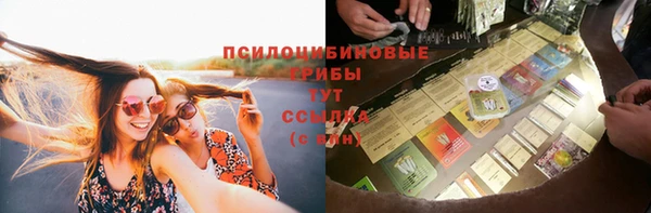 хмурый Волосово