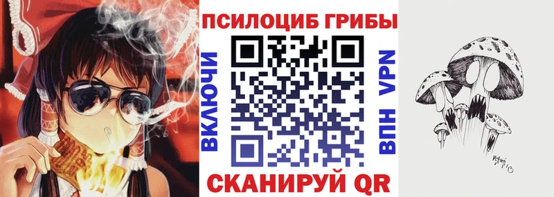 Галлюциногенные грибы Cubensis  где купить   Закаменск 